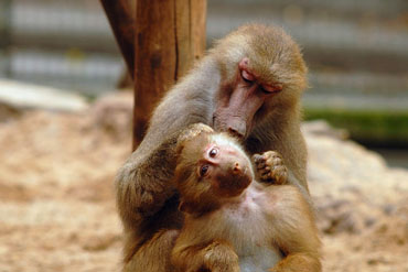 Veranstaltungen Veranstaltungen