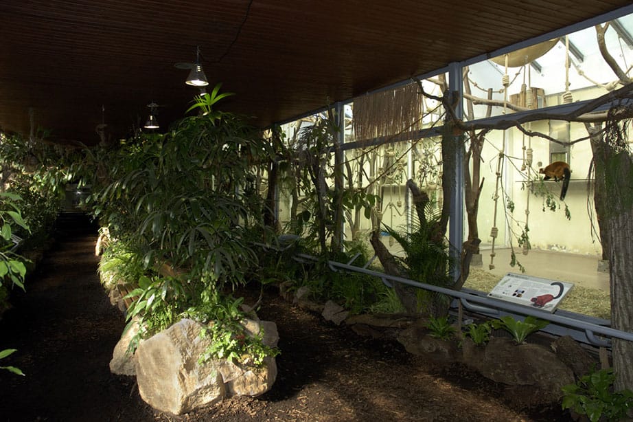 Madagaskar-Haus-4.jpg